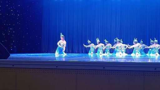李沁燃（女，11岁）少年宫演出领舞
